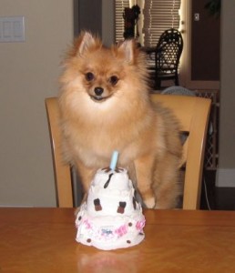 I am 2 years old today
